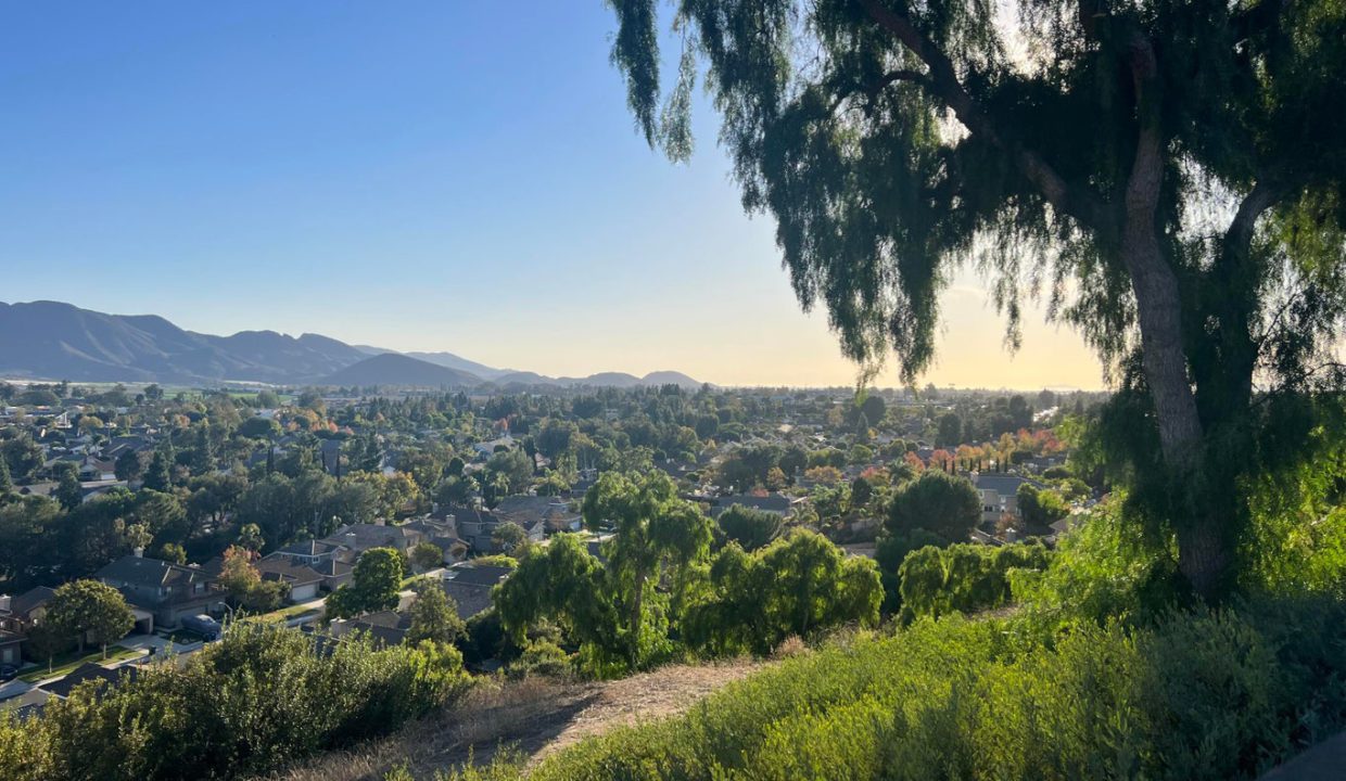 Laurel Park Drive Camarillo CA-view