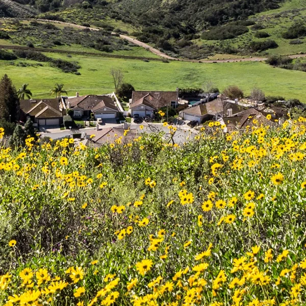 Santa Rosa Valley