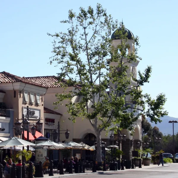 Westlake Village Promenade